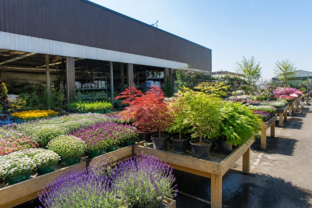 découvrez notre nouvelle jardinerie discount en france avec des fleurs dès 11 centimes, de la lavande à 1 euro et des érables à seulement 3 euros. profitez de prix imbattables pour embellir votre jardin !